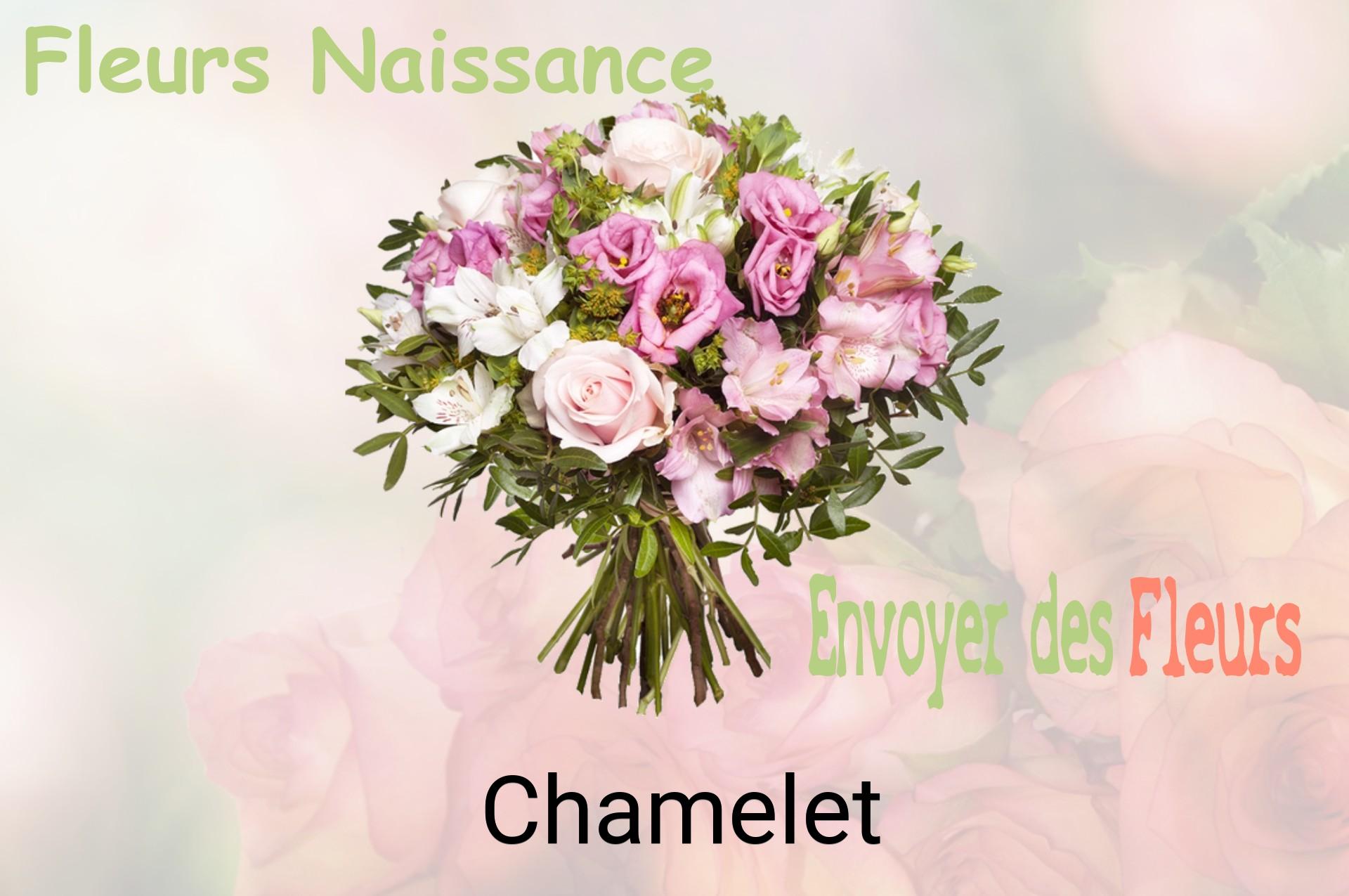 Bouquet de fleurs de naissance livré à Chamelet