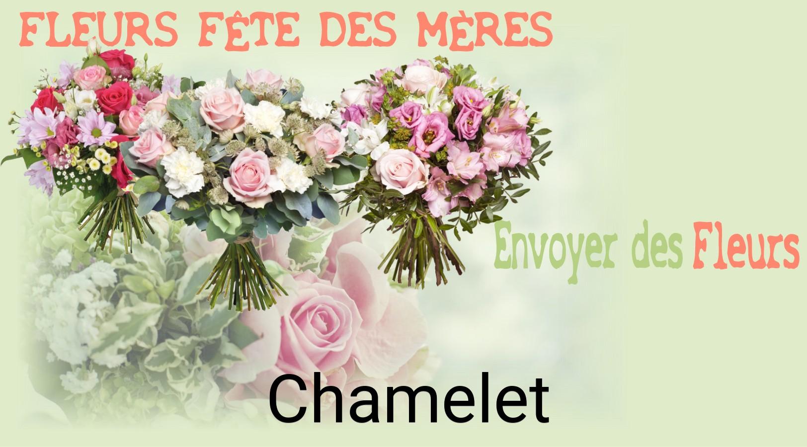 Bouquet de Fête des Mères livré à Chamelet